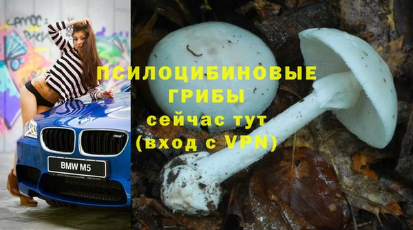 mdpv Абдулино