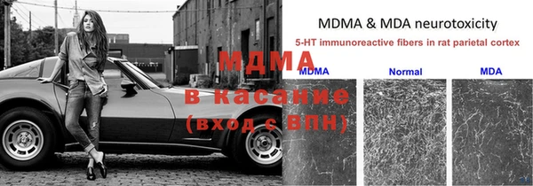 дмт Абаза