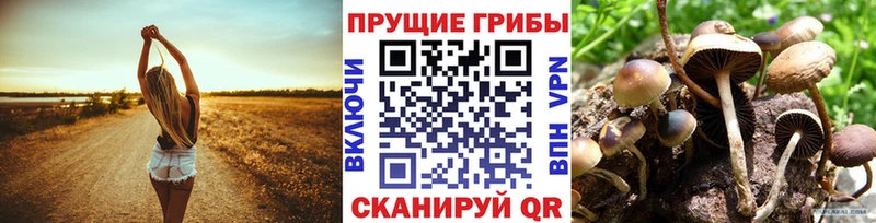 Галлюциногенные грибы MAGIC MUSHROOMS  купить наркоту  Мамадыш 